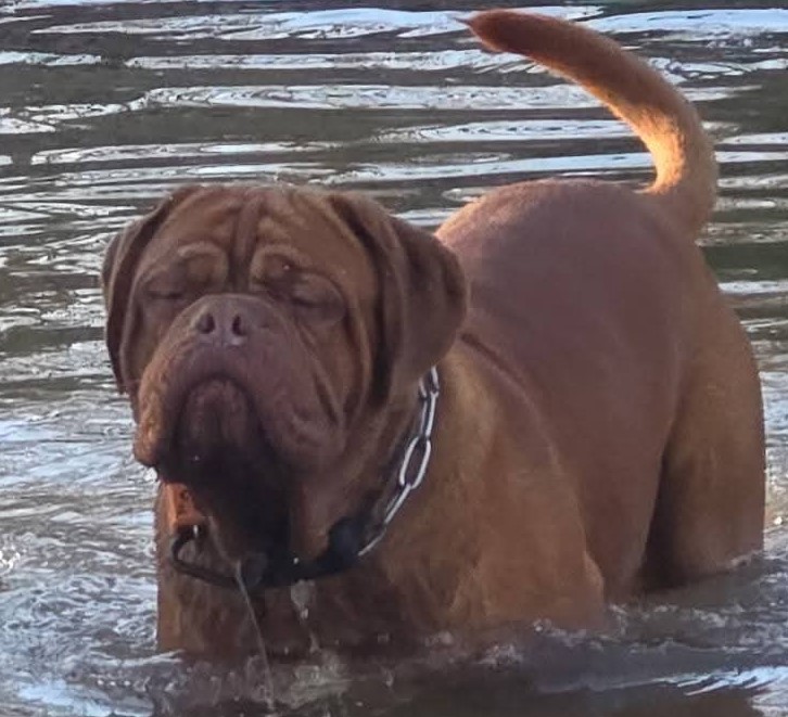 axel in pond